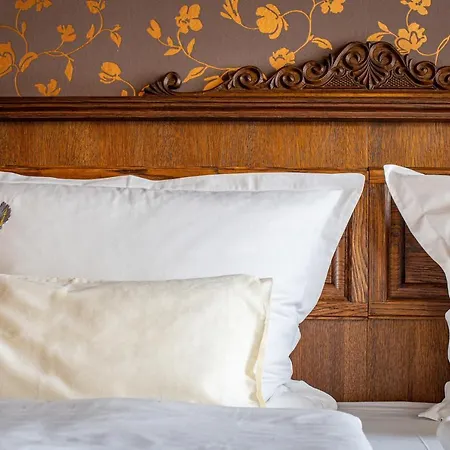 Hotel U Cerneho Orla 4*