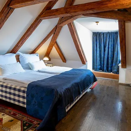 U Cerneho Orla Otel Prag