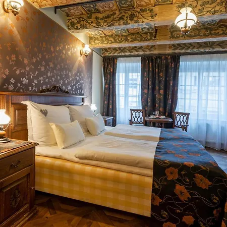 Otel U Cerneho Orla Prag