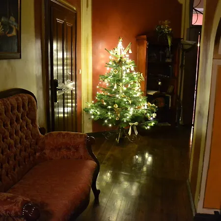 Otel U Cerneho Orla 4*